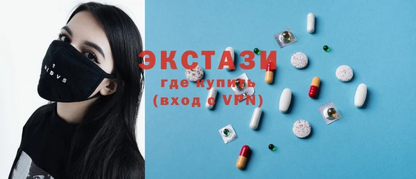 индика Новодвинск