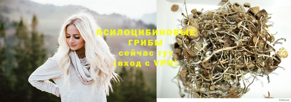 шишки Навашино