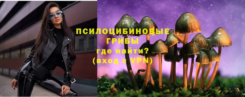 omg рабочий сайт  Сорск  Псилоцибиновые грибы MAGIC MUSHROOMS 